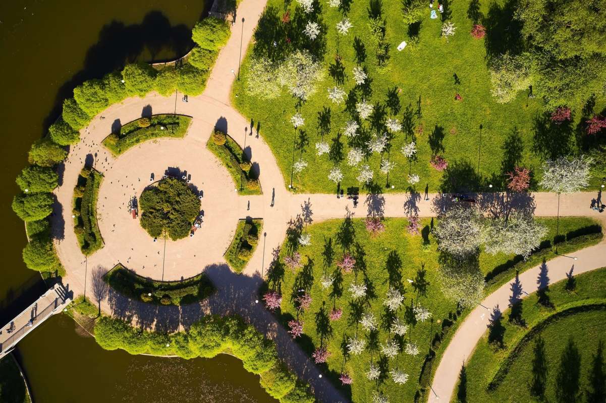 Завершен первый этап конкурса ДИЗАЙН МОЛОДЫХ/YOUNG DESIGN 2025: номинация ЯБЛОНЕВЫЙ КОД